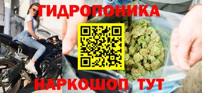 мет Шебекино