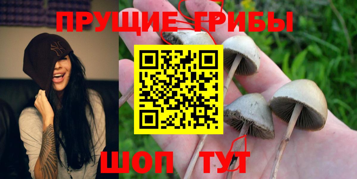 Галлюциногенные грибы прущие грибы Белово