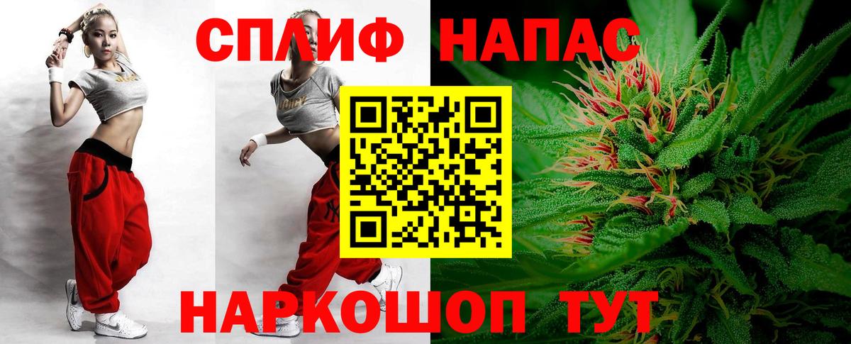 Конопля сатива Белово